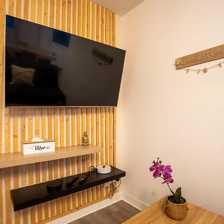 Le Jenny - 2 Lits - 4 Pers' - Parking - Streaming Апартаменты