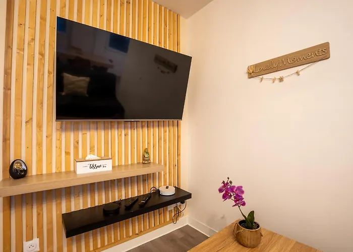 Le Jenny - 2 Lits - 4 Pers' - Parking - Streaming Apartment